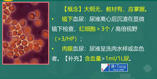 湯以恒2019臨床執(zhí)業(yè)醫(yī)師泌尿系統(tǒng)科目免費(fèi)視頻課更新！