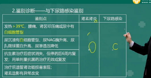 白細(xì)胞管型