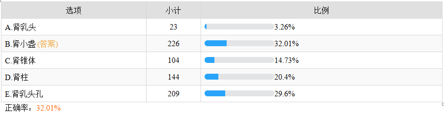 腎實質的結構不包括