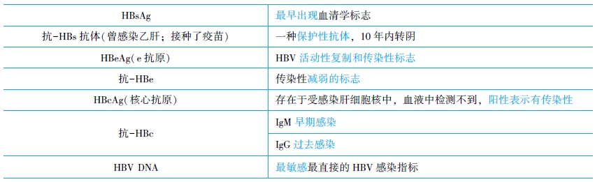 HBV的抗原抗體系統(tǒng)