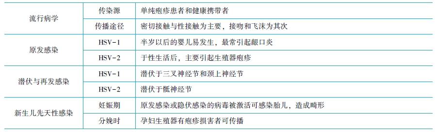 單純皰疹病毒分型及流行病學(xué)特點(diǎn)