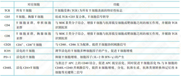 TCR-CD3復合物