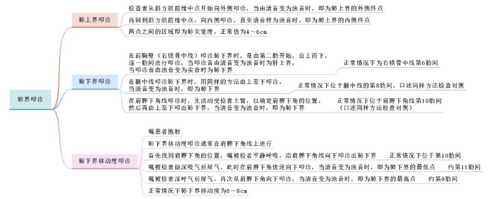 體格檢查——肺界叩診、肺下界移動(dòng)度叩診