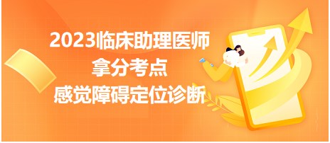 2023臨床助理醫(yī)師拿分考點(diǎn)感覺(jué)障礙定位診斷