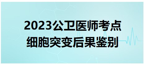 2023公衛(wèi)醫(yī)師考點細(xì)胞突變后果鑒別