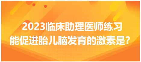 2023臨床助理醫(yī)師練習-促進胎兒腦發(fā)育的激素是？