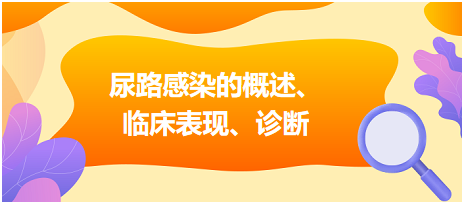 尿路感染的概述、臨床表現(xiàn)、診斷