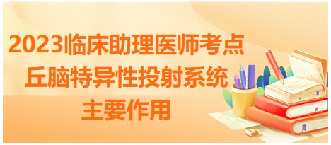 2023臨床助理醫(yī)師考點-丘腦特異性投射系統(tǒng)