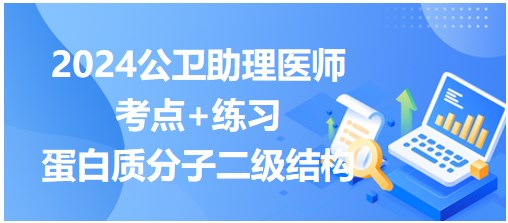 蛋白質分子二級結構